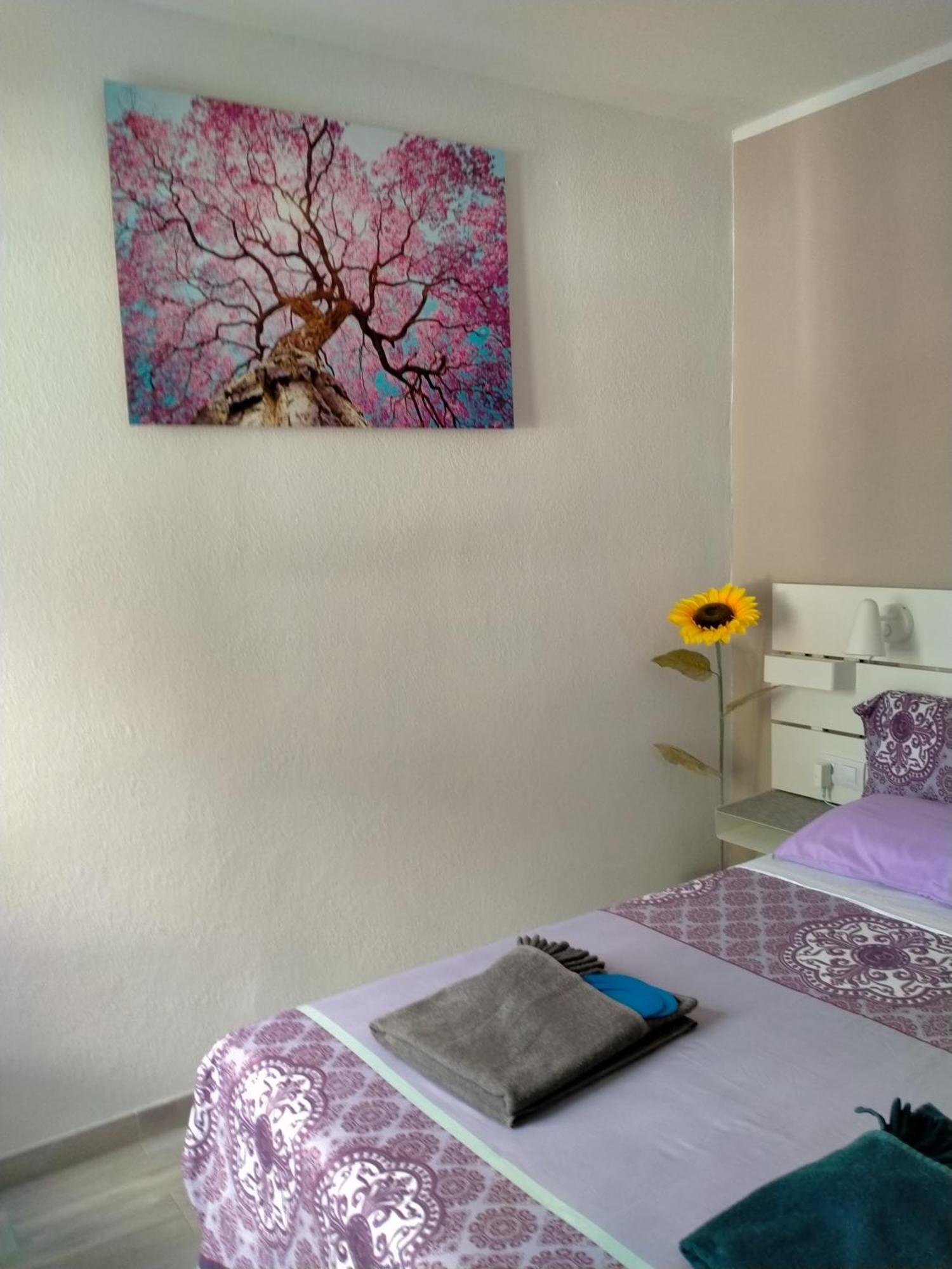 La Casa De Marcoq Daire Costa Calma Dış mekan fotoğraf